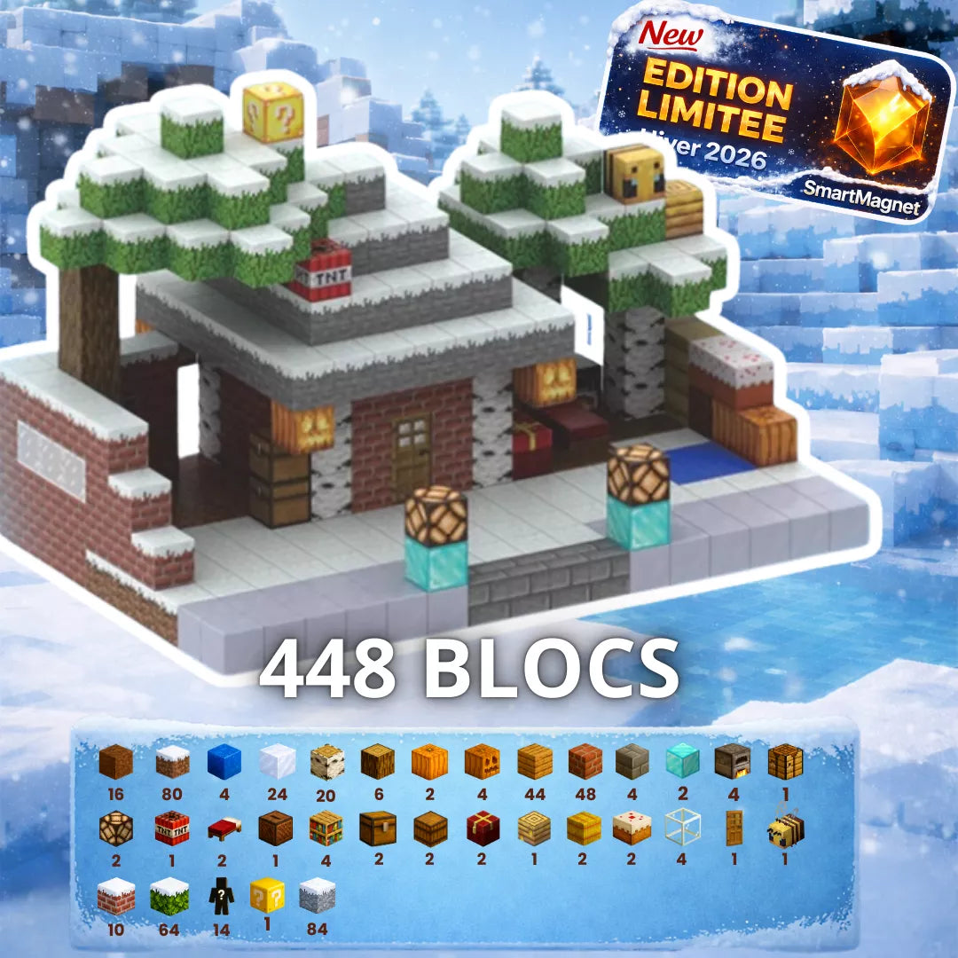 Blocs magnétiques SmartMagnet