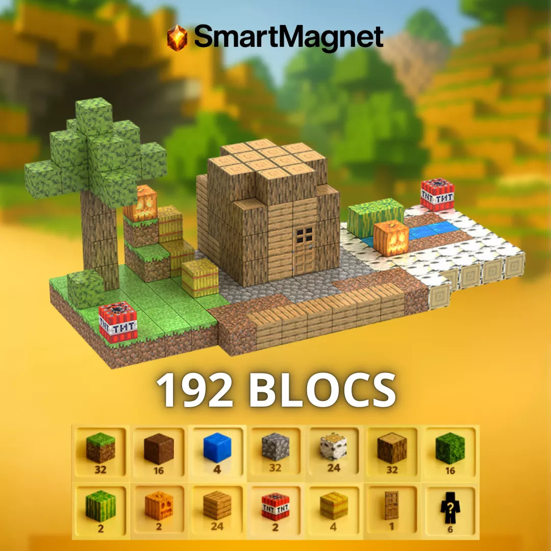 Blocs magnétiques SmartMagnet